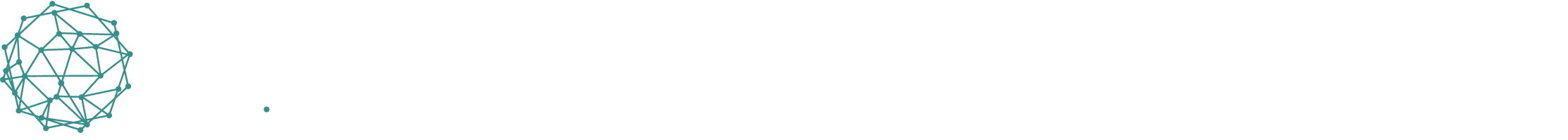 datenschutz-website-check-logo-01